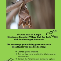 Bat Walk and Talk - Frenchay